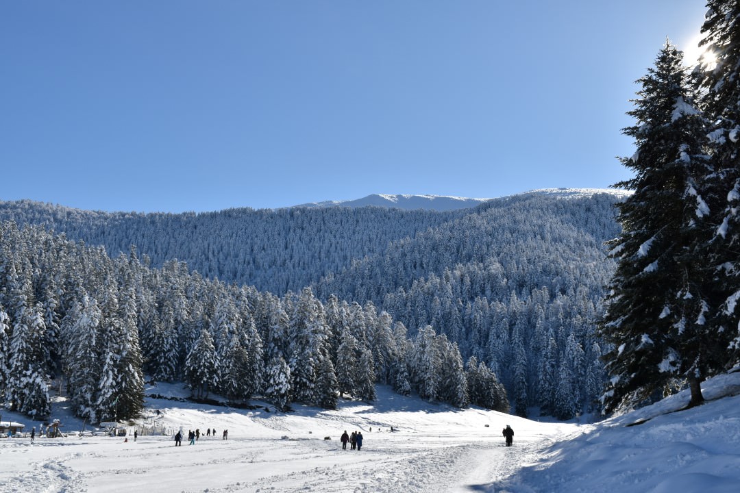 Lac De Payolle